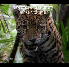 Portrait of a country Belize Volume 1 book cover