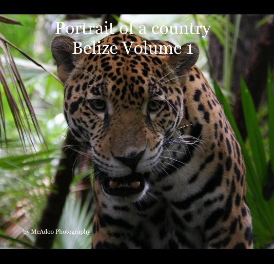 Bekijk Portrait of a country Belize Volume 1 op McAdoo Photography