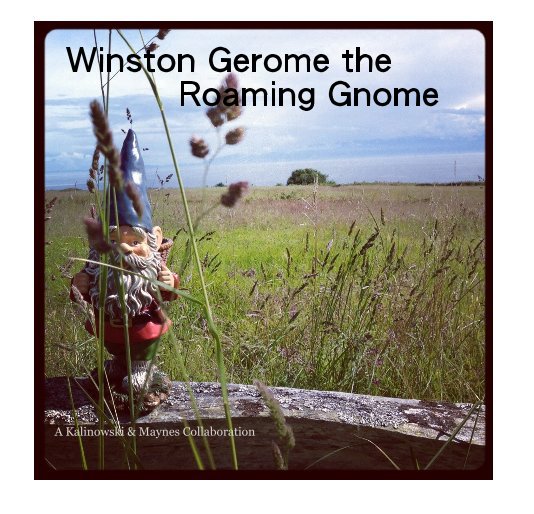 View Winston Gerome the Roaming Gnome by elise0929