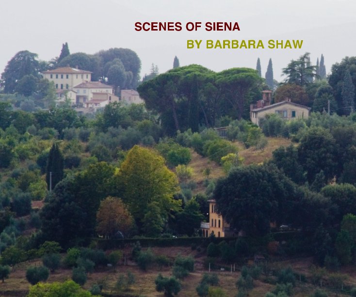 Ver SCENES OF SIENA BY BARBARA SHAW por Barbara Shaw
