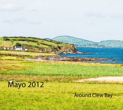 Mayo 2012 book cover