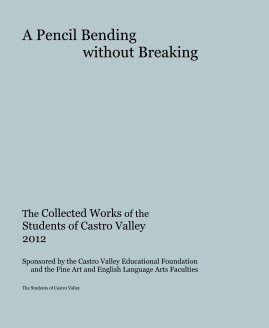 A Pencil Bending without Breaking book cover