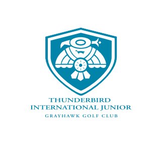 Thunderbird International Junior 2012 book cover
