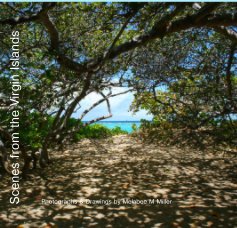 Scenes from the Virgin Islands book cover