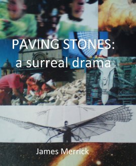 PAVING STONES book cover