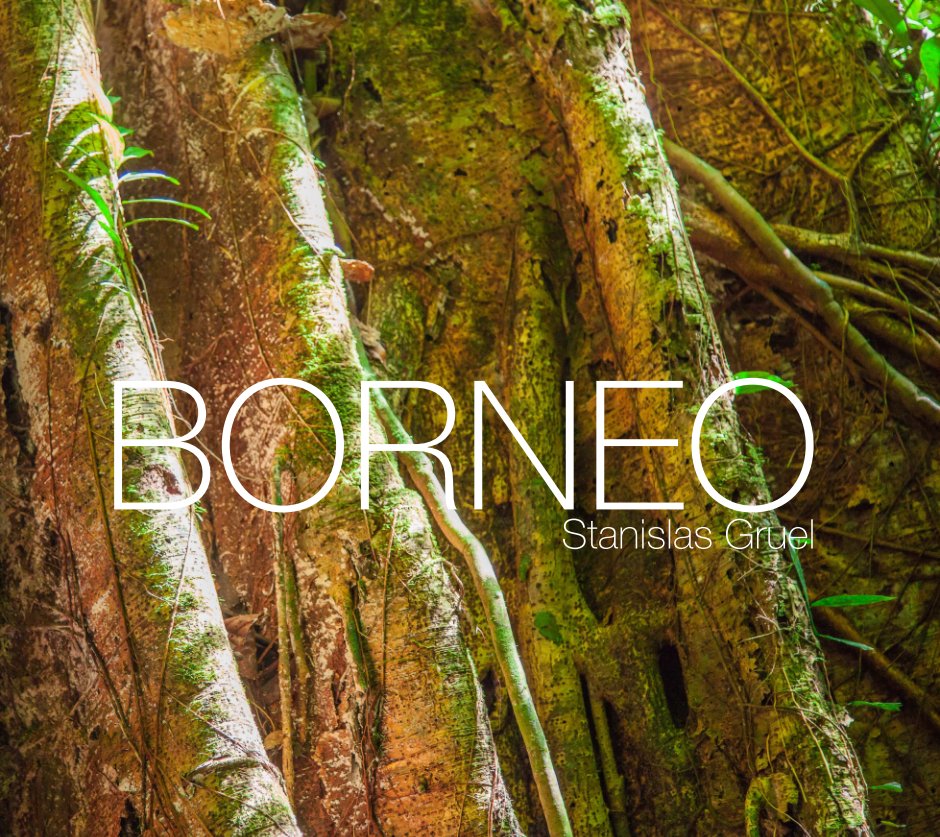 View Borneo by Stanislas Gruel