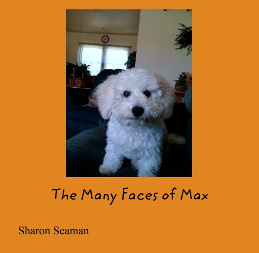View The Many Faces of Max by Sharon Seaman