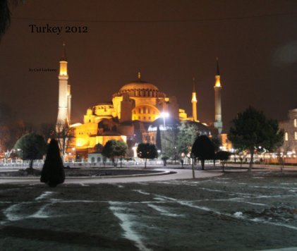 Turkey 2012 book cover