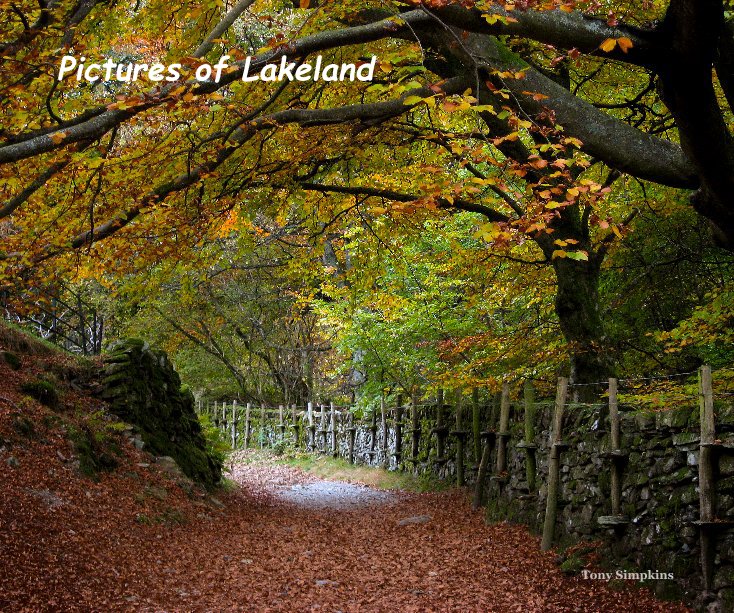View Pictures of Lakeland by awsimp