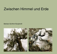 Zwischen Himmel und Erde book cover