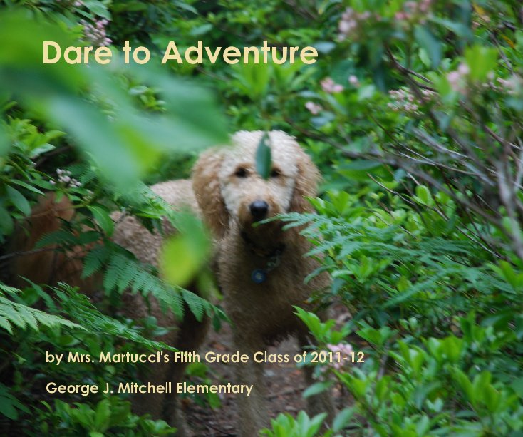 Ver Dare to Adventure por Mrs. Martucci's Fifth Grade Class of 2011-12