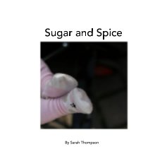 Sugar and Spice book cover