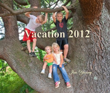 Vacation 2012 book cover