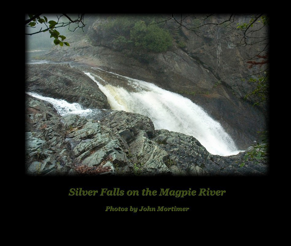 View Silver Falls on the Magpie River by John Mortimer
