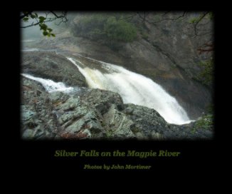 Silver Falls on the Magpie River book cover