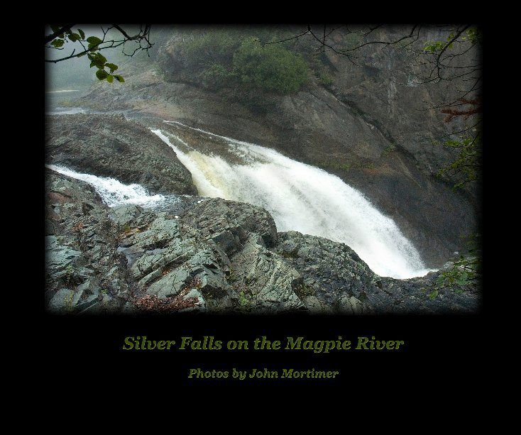 View Silver Falls on the Magpie River by John Mortimer