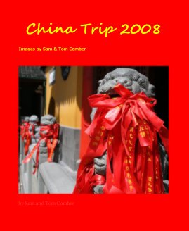 China Trip 2008 book cover