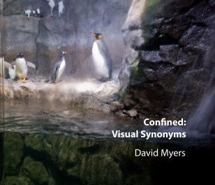 confined: visual synonyms book cover