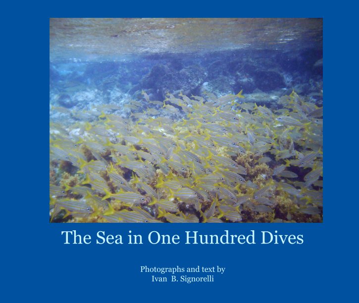View The Sea in One Hundred Dives by Ivan B. Signorelli