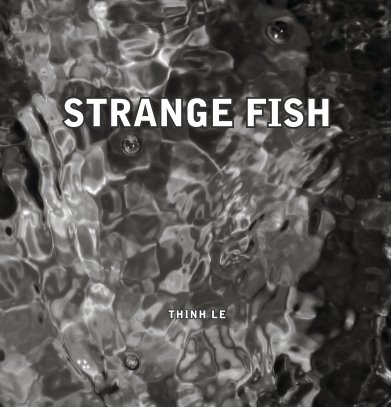Strange Fish (12" x 12" Large Format Book) book cover