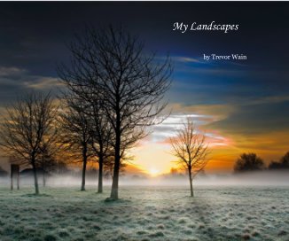My Landscapes book cover
