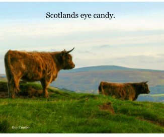 Scotlands eye candy. book cover