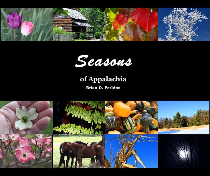 View Seasons by Brian D. Perkins