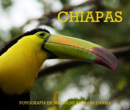 CHIAPAS. book cover