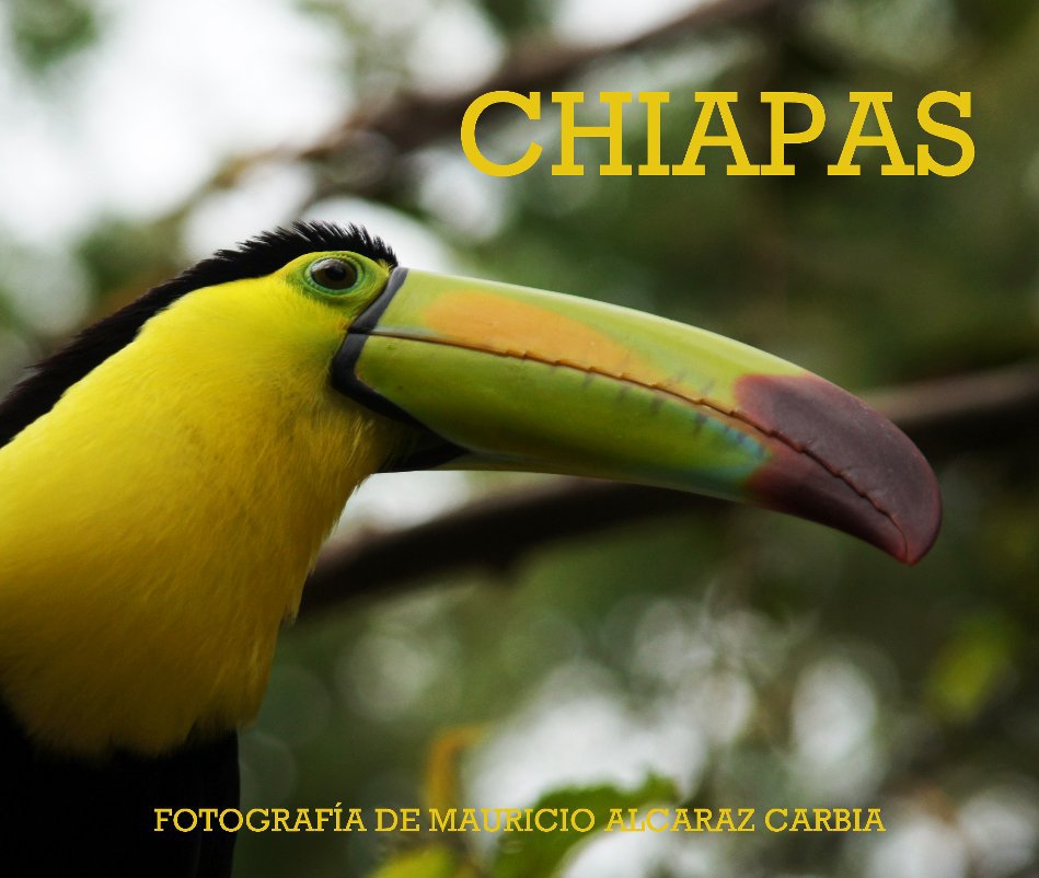 View CHIAPAS. by Macarbia