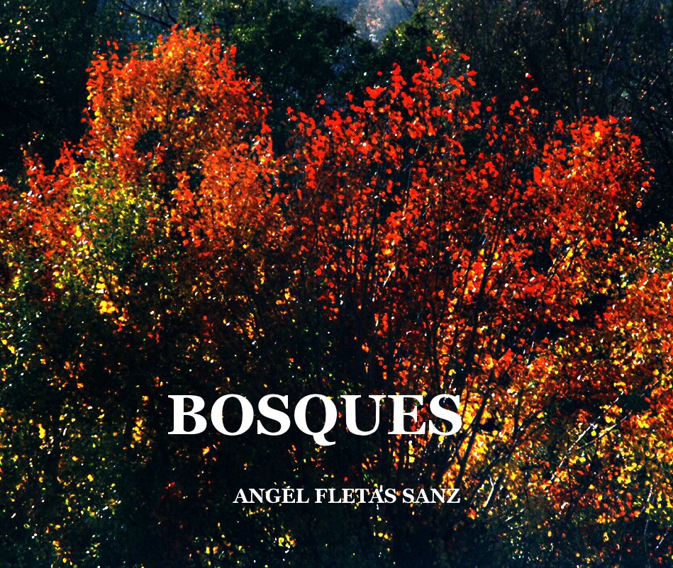 View BOSQUES by ANGEL FLETAS SANZ