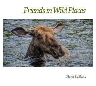 Friends in Wild Places book cover