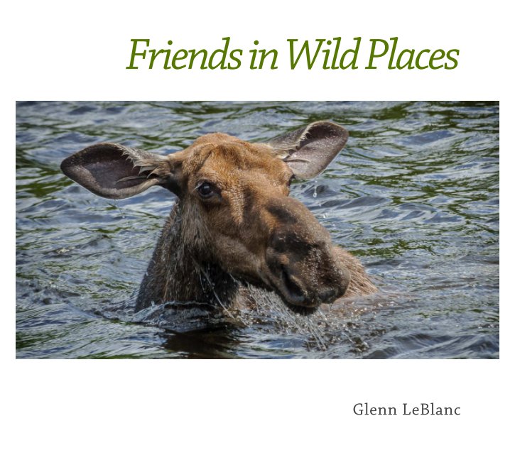View Friends in Wild Places by Glenn LeBlanc