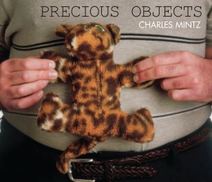 Precious Objects book cover