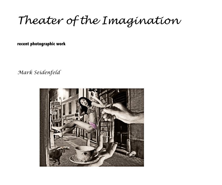 View Theater of the Imagination by Mark Seidenfeld