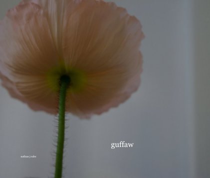 guffaw book cover