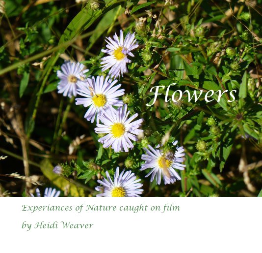 View Flowers by Heidi Weaver