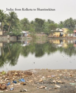 India: from Kolkota to Shantinekitan book cover