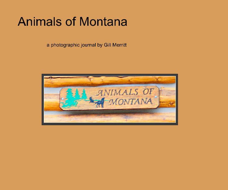 View Animals of Montana by a photographic journal by Gill Merritt
