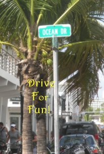 Drive For Fun! book cover