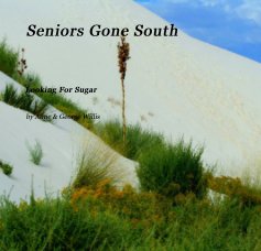 Seniors Gone South book cover