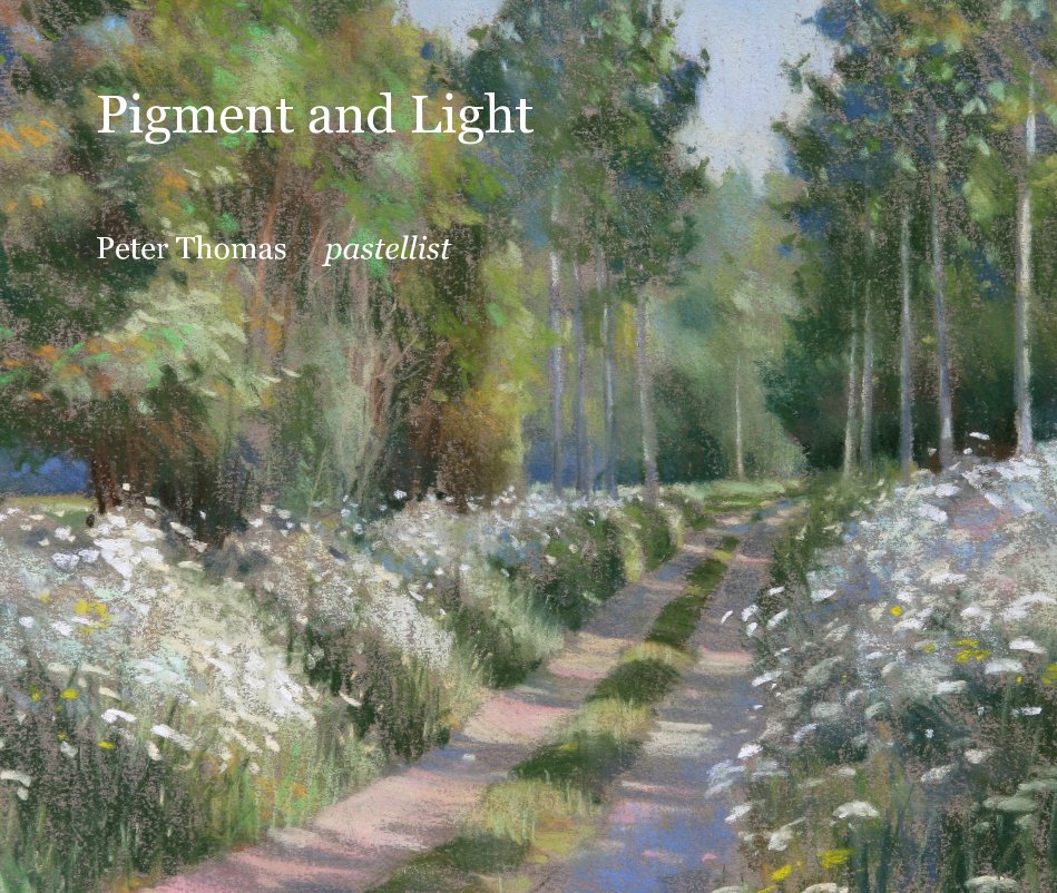 View Pigment and Light Peter Thomas pastellist by ptpastels