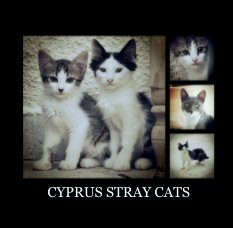 CYPRUS STRAY CATS book cover