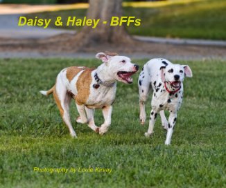 Daisy & Haley - BFFs book cover