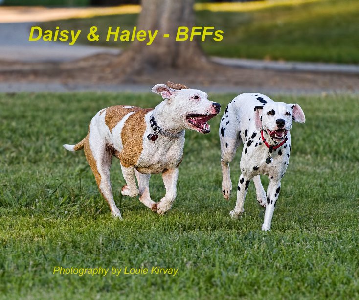 Ver Daisy & Haley - BFFs por Photography by Louie Kirvay