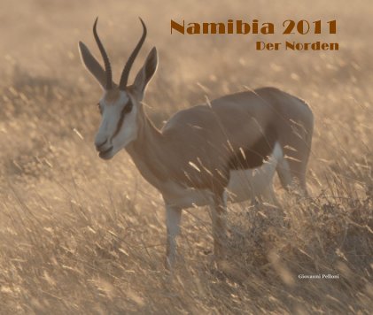 Namibia 2011 Der Norden book cover