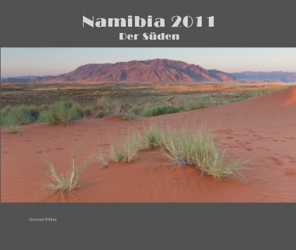 Namibia 2011 Der Süden book cover