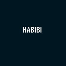 Habibi book cover