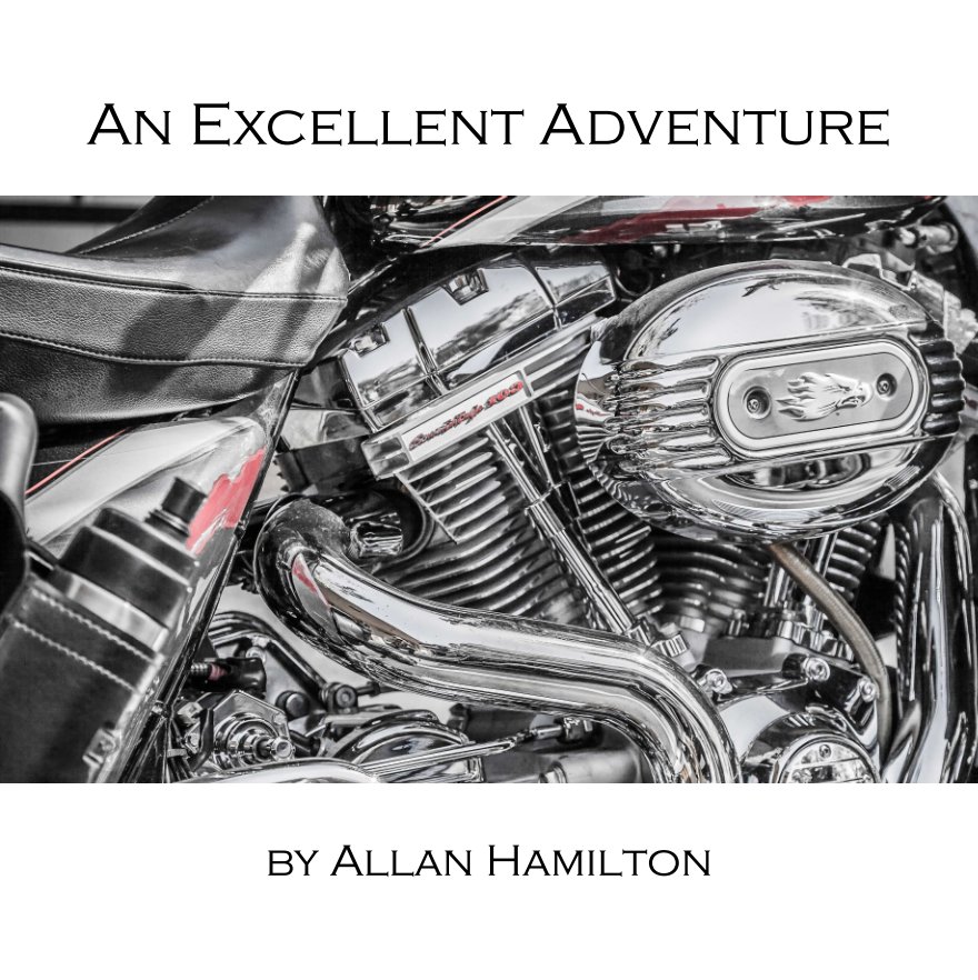 Visualizza An Excellent Adventure di Allan Hamilton