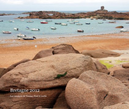Bretagne 2012 book cover