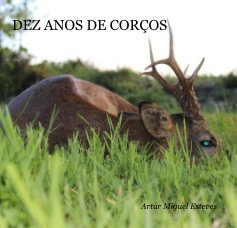 DEZ ANOS DE CORÇOS book cover